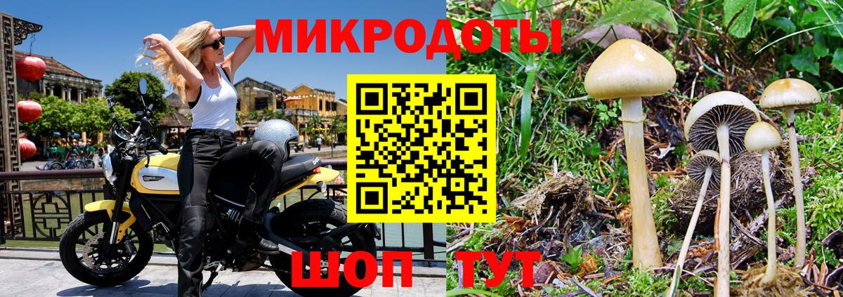 Галлюциногенные грибы Psilocybine cubensis  Вход с VPN  Новосибирск 